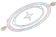 Corner of the Star Sea
